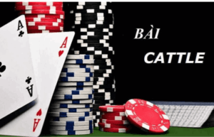 Catte là gì? Tổng quan về trò chơi bài Catte (Sắc Tê)